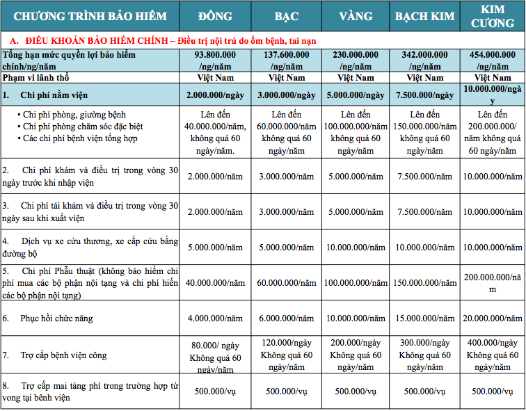 BẢo HiỂm SỨc KhoẺ BẢo ViỆt An Gia 